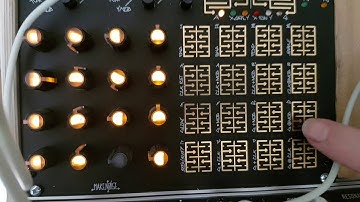 Just a short video showing my Make Noise Rene in snake mode.