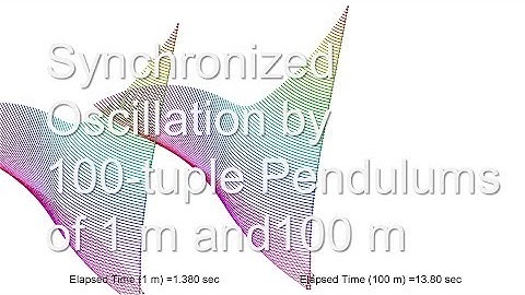 Synchronized Oscillation by 100-tuple Pendulums of 1m and 100m / simulation / chaos