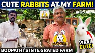 Successful Rabbit Farming in Perundurai | Boopathi's Integrated Farm Success Story 🐇🌿
