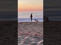 The Most Beautiful Beach Sunset With This Dog ❤️