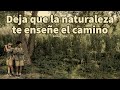 DEJA QUE LA NATURALEZA TE ENSEÑE EL CAMINO - Eckhart Tolle