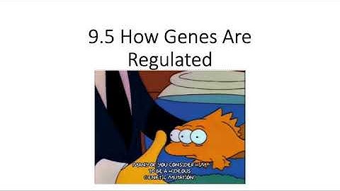 OpenStax Concepts of Biology Ch  9.5 How Genes are Regulated