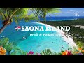 The Best Beach on Saona Island That Beats All Dominican Republic Shores! Here’s What I Found?