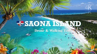 The Best Beach on Saona Island That Beats All Dominican Republic Shores! Here’s What I Found?