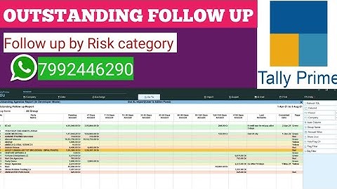 Tally Prime TDL | Outstanding follow up | Follow up by Risk Category | Tally Erp TDL