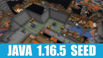 Minecraft Java 1.16.5 Seed: Double dungeon inside an abandoned mineshaft near spawn + village nearby