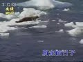 175黑本304首 这是耶和华所定的日子 
