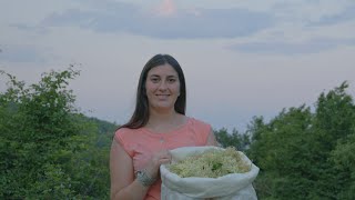 Age of Change: Harvesting nature’s medicinal gifts in Kosovo