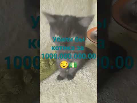 2 ноября 2023 г.