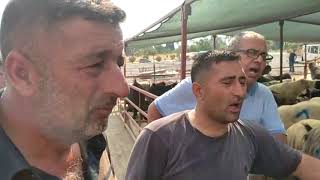 Kurban Satıcıları İskenderun Belediyesinin Faiş Fiyatı Için Konuştu Bu Bir Soygundur Abim.