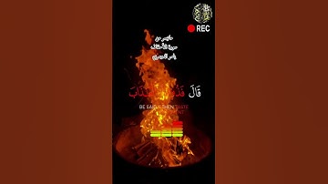 ماتيسر من #سورة_الأحقاف #ياسر_الدوسري #تلاوة_خاشعة #آيات #القرآن_الكريم #المصحف #الحرم_المكي