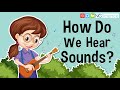 Sound Production and Wave Behavior