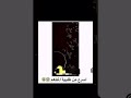 أسرع طريقه زواج مسيار