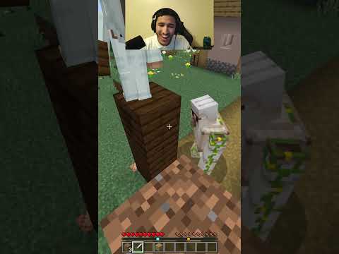 الدب العظيم