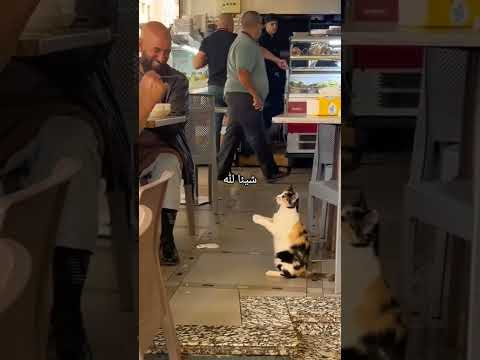 من ترك شيئا لله عوضه الله خيرا منه الاسلام اكسبلور لايك قصص تيك توك ترند دويتو يوتيوب