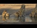 SafariLive- Nkuhuma lion cubs on the move and Avocas males roaring!