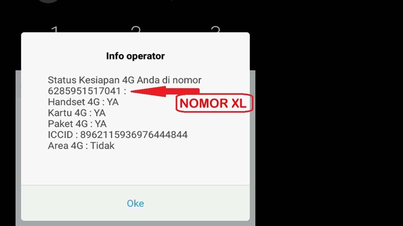 Cara Cek Nomor XL secara cepat 2020 YouTube