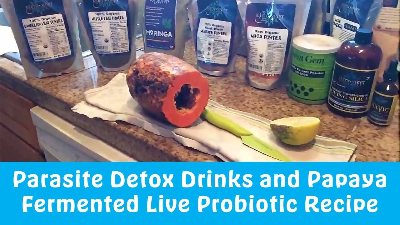 Parasite Detox Drinks and Papaya Fermented Live Probiotic Recipe I Dr