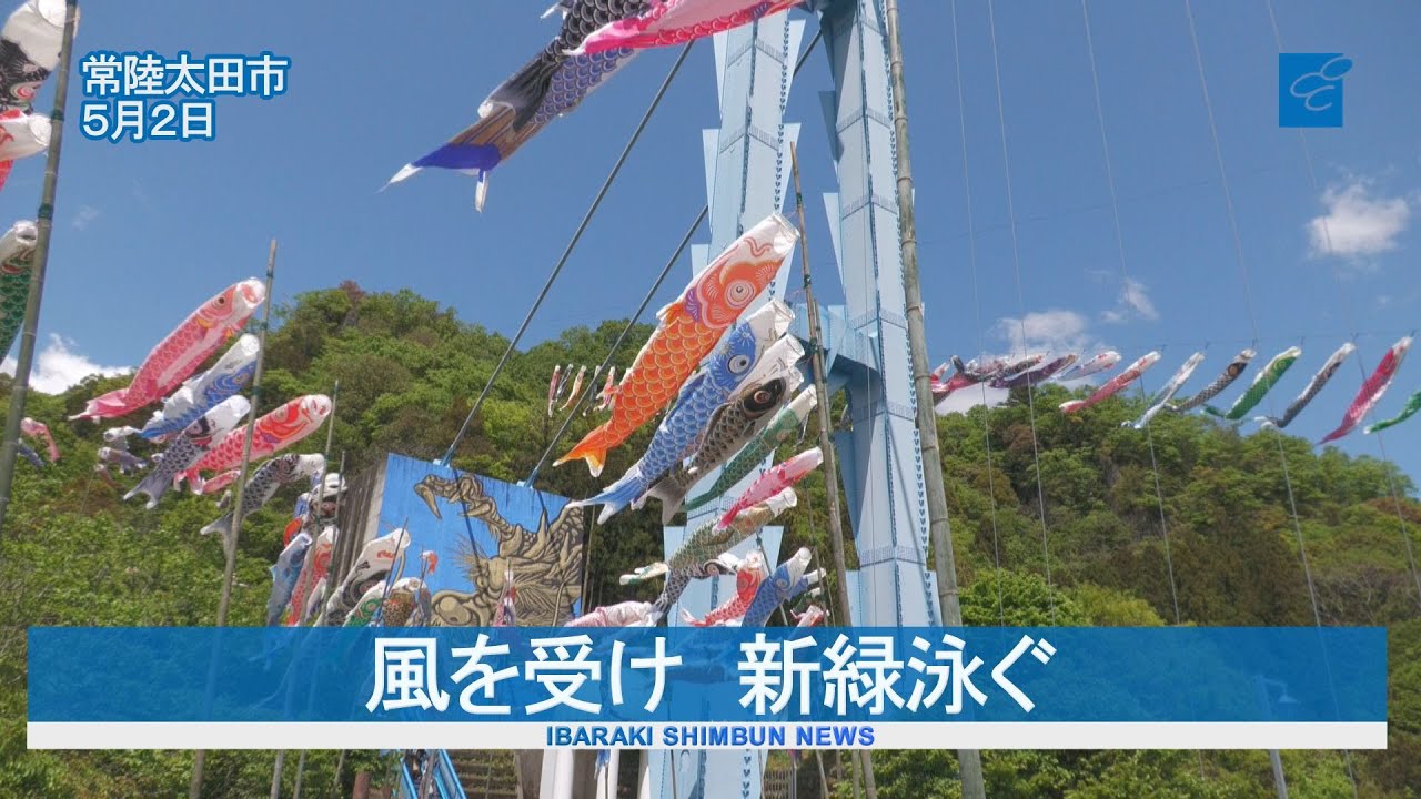 Fresh greenery swims in the wind at the Ryujinkyo Carp Streamer