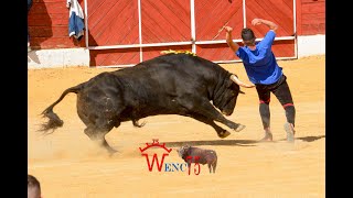 SUELTA DE TORO Y VACA DE VICTORIANO DEL RIO DE LA ASOC.AFICIONADOS TAURINOS DE  CIEMPOZUELOS 2023