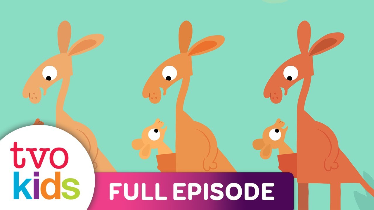 ANIMANIMALS - Kangaroo - Full Episode - YouTube