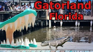 Gatorland The Oldest Theme park in Orlando!