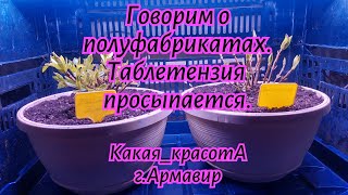 :  .    .20.01.25