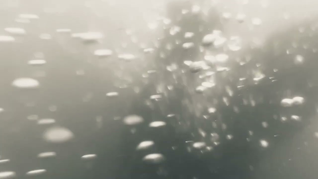 réBelles! le concert // Sirène