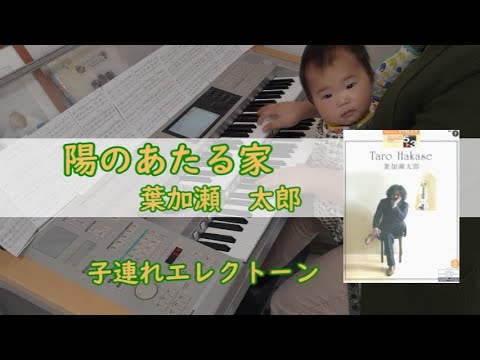 陽のあたる家 / 葉加瀬太郎【子連れエレクトーン】