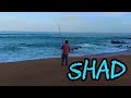 Fishing ballito kzn south africa