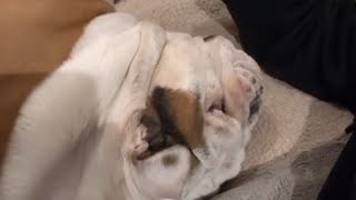 He might be an old man now ... But he's still my big old baby 🥹