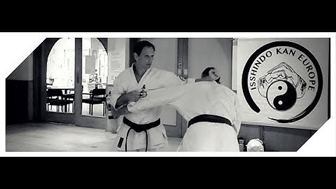 Pinan Shodan/Heian Nidan - Opening Oyo Bunkai