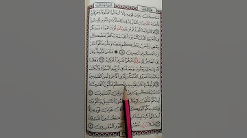 تعليم سورة العنكبوت من 26 إلى 28