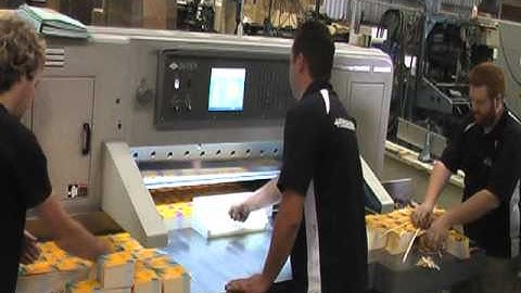 DATIEN- PAPER GUILLOTINE CUTTING MACHINE- CT-115E