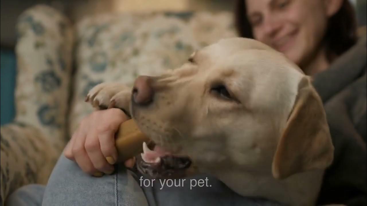 Feeding Your Pet - A Comprehensive Guide