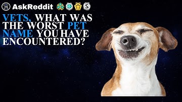 vets, what was the worst pet name you have encountered? - (r/AskReddi