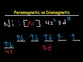 Paramagntique vs diamagntique  lectrons apparis ou non apparis  configuration lectronique