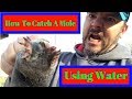 How To Flush Out and get Rid of Moles | How Fast Can A Mole Dig