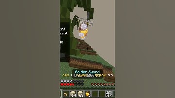 pain : #minecraft #zeqa #hacker #short