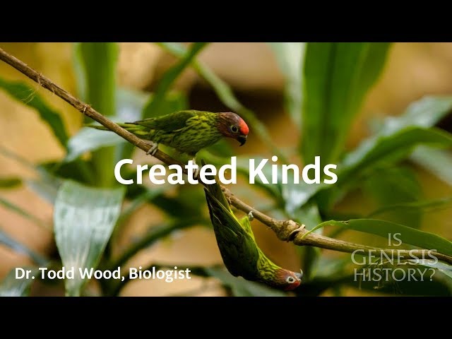 What are Created Kinds? - Dr. Todd Wood (Conf Lecture)