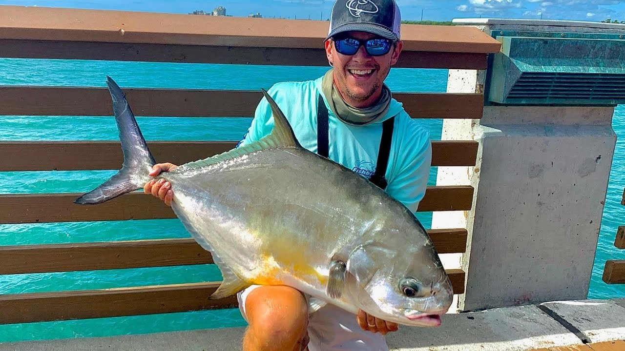 MONSTER Permit (Juno Beach Pier Fishing) 