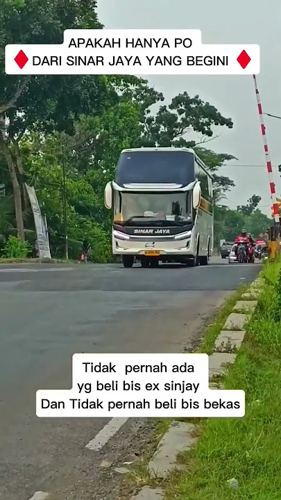 Apakah hanya PO sinar jaya yang begini 😱 #bus #sinarjaya #busmania