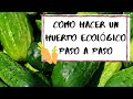 Cómo hacer un HUERTO ECOLÓGICO 💚 (paso a paso)