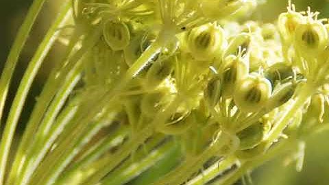 Song Mash Up with audacity pt 1