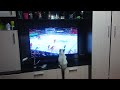 кот смотрит хоккей