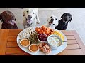 Dog's Review A Thanksgiving Feast!