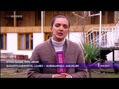 მაჩალიკაშვილის საქმე -განცხადება პანკისში  - ანა ახალაიას ჩართვა პანკისიდან