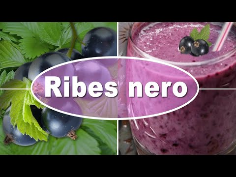 Video: Ribes Nero - Proprietà, Benefici, Consumo, Valore Nutritivo, Vitamine
