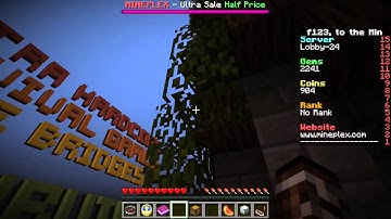 Mineplex-how to climb the tree