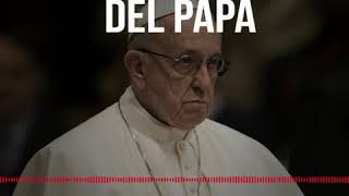 ⁣La respuesta del Papa